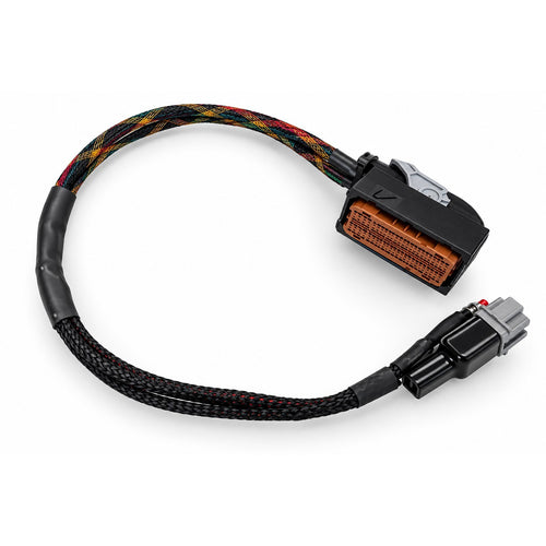 Adaptador de banco CTS para ECM Cummins CM2350 con el conector de la ECM y el conector gris hacia el cable base
